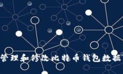 如何有效管理和修改比特币钱包数据：全面指南