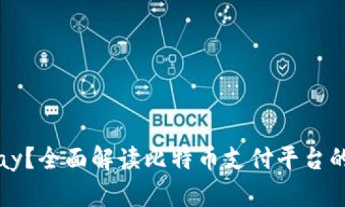 什么是BitPay？全面解读比特币支付平台的功能与优势