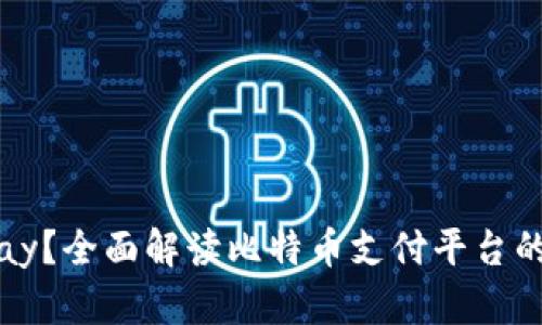 什么是BitPay？全面解读比特币支付平台的功能与优势