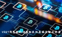 USDT钱包提现功能缺失的原