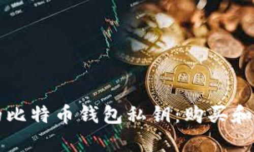 如何找回丢失的比特币钱包私钥：购买和安全恢复的方法