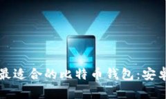 如何选择最适合的比特币钱包：安卓用户指南