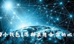比特币放进哪个钱包？选择最适合你的比特币钱