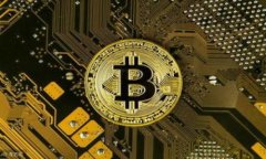 biao ti/biao ti：全面解析GBCC狗狗币钱包：安全性、