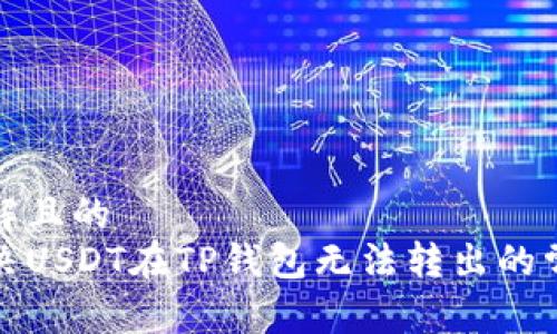 易于理解且的  
如何解决USDT在TP钱包无法转出的常见问题