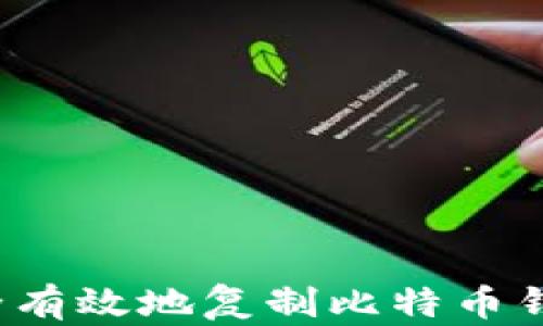 
如何安全有效地复制比特币钱包支付？
