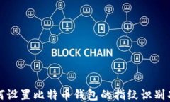 如何设置比特币钱包的指