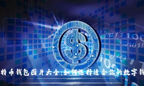 比特币钱包图片大全：如何选择适合你的数字钱包