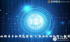 比特币手机钱包密钥：公钥与私钥的深入解析