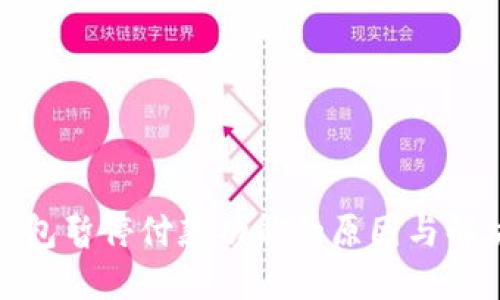 数字钱包暂停付款功能的原因与解决方案