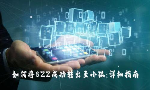 如何将BZZ成功转出至小狐：详细指南